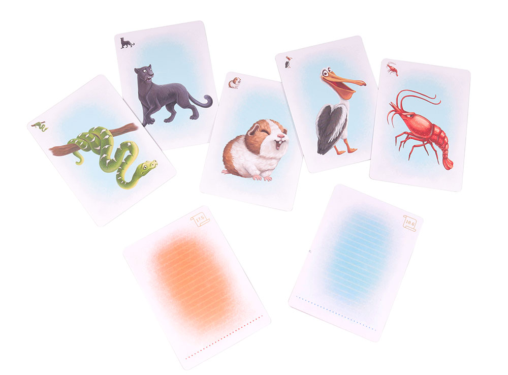 рисунок карт настольной игры Живые истории. Навстречу новым приключениям!